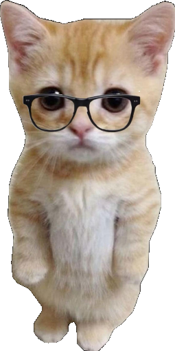 Cat Assistant